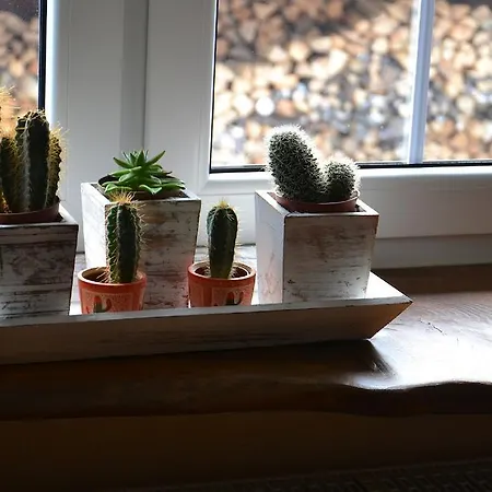 U Robsona Szklarska Poręba