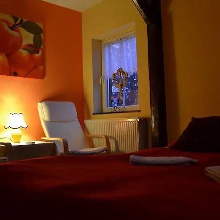 U Robsona Проживание в семье *