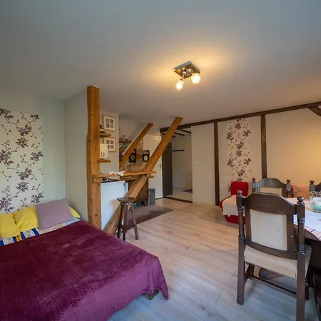 Homestay U Robsona